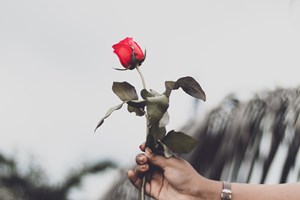 Looking_for_2020_Prom_Trends