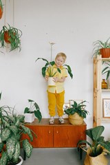 Best_Flowers_and_Plants_for_Cleaner_Air